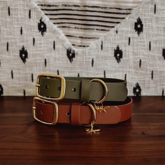 Waterproof Dog Collars